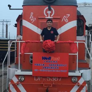 Whole Express Block Train Shipment from China Wellfast Logistics